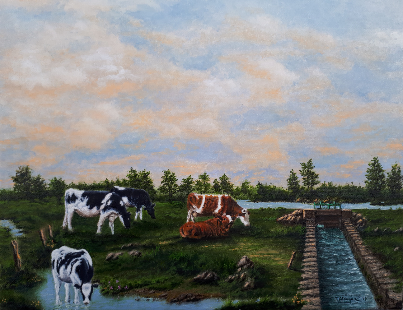  Vaches au canal
